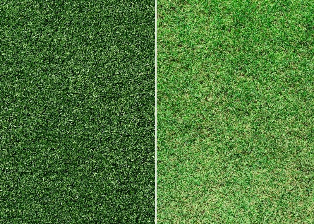 Artificial Grass vs Real Grass: Which is Best? - Tuda Grass