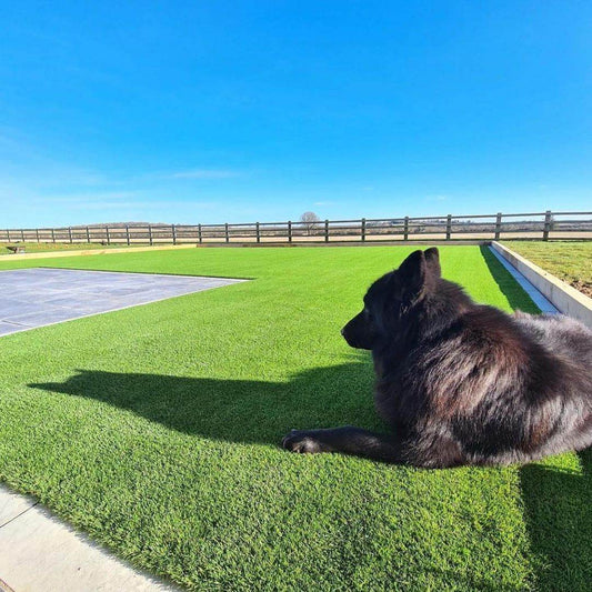What is the best Artificial Grass for Pets? - Tuda Grass