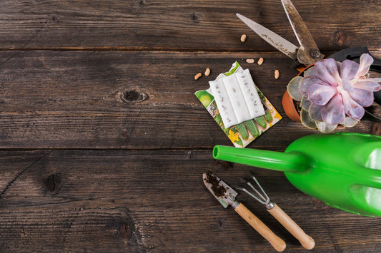 5 Garden Ideas to Try This National Gardening Week