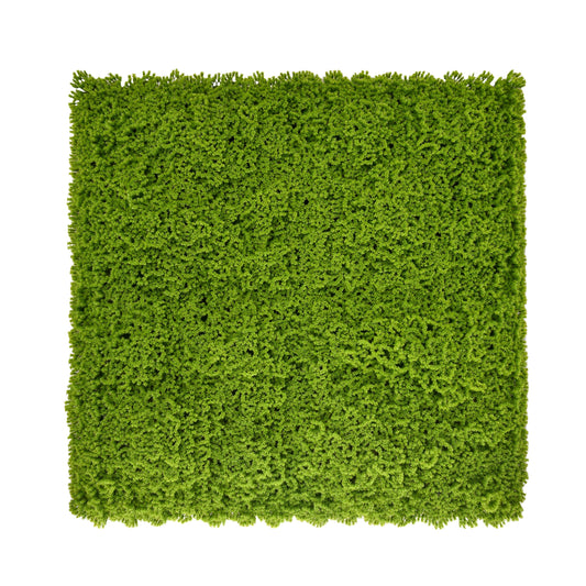 Lime Green Artificial Moss Living Wall Panel - 100x100cm