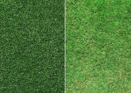 Artificial Grass vs Real Grass: Which is Best? - Tuda Grass