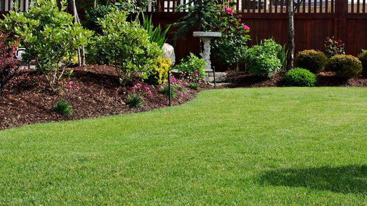 10 Ways To Create The Perfect Garden Borders