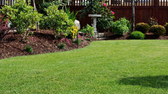 10 Ways To Create The Perfect Garden Borders