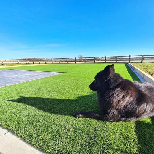 What is the best Artificial Grass for Pets?