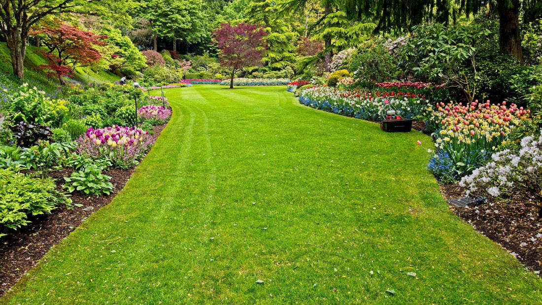 How to Get Your Garden Ready for Spring