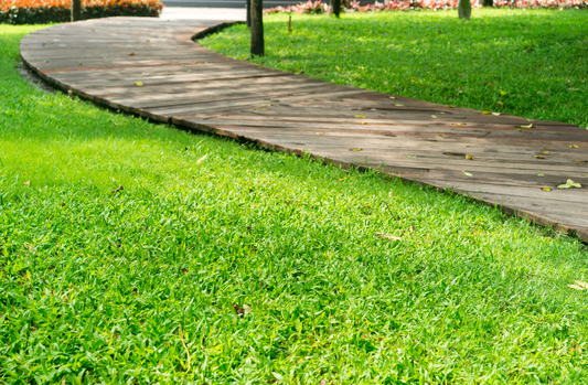 How to Stop Decking from Rotting and Keep It Looking Fresh