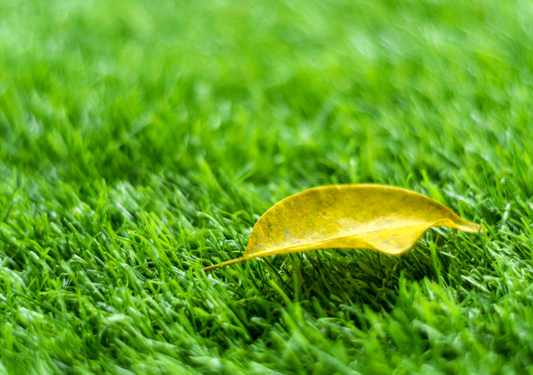 How Do You Rake Leaves Off Artificial Grass? Simple Tips for a Clean Lawn