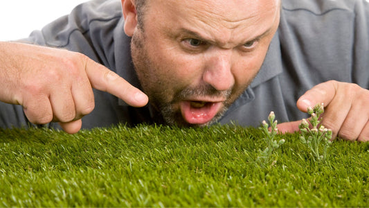 5 Ways to Stop Weeds Growing Through Artificial Grass