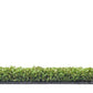 Pro Putt 18mm Artificial Grass - Tuda Grass
