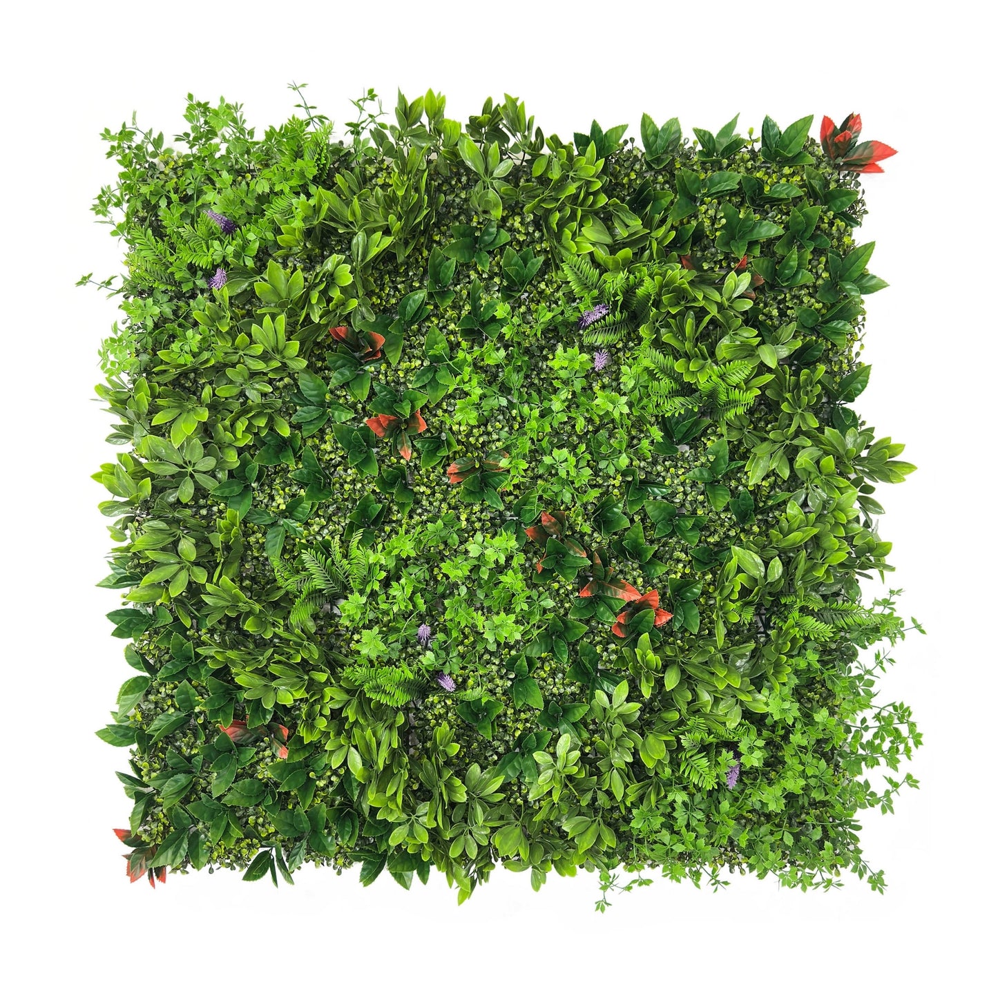 Forest Fusion Artificial Living Wall - 1m x 1m