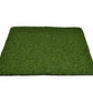 Golf Putting Green 11mm Artificial Grass