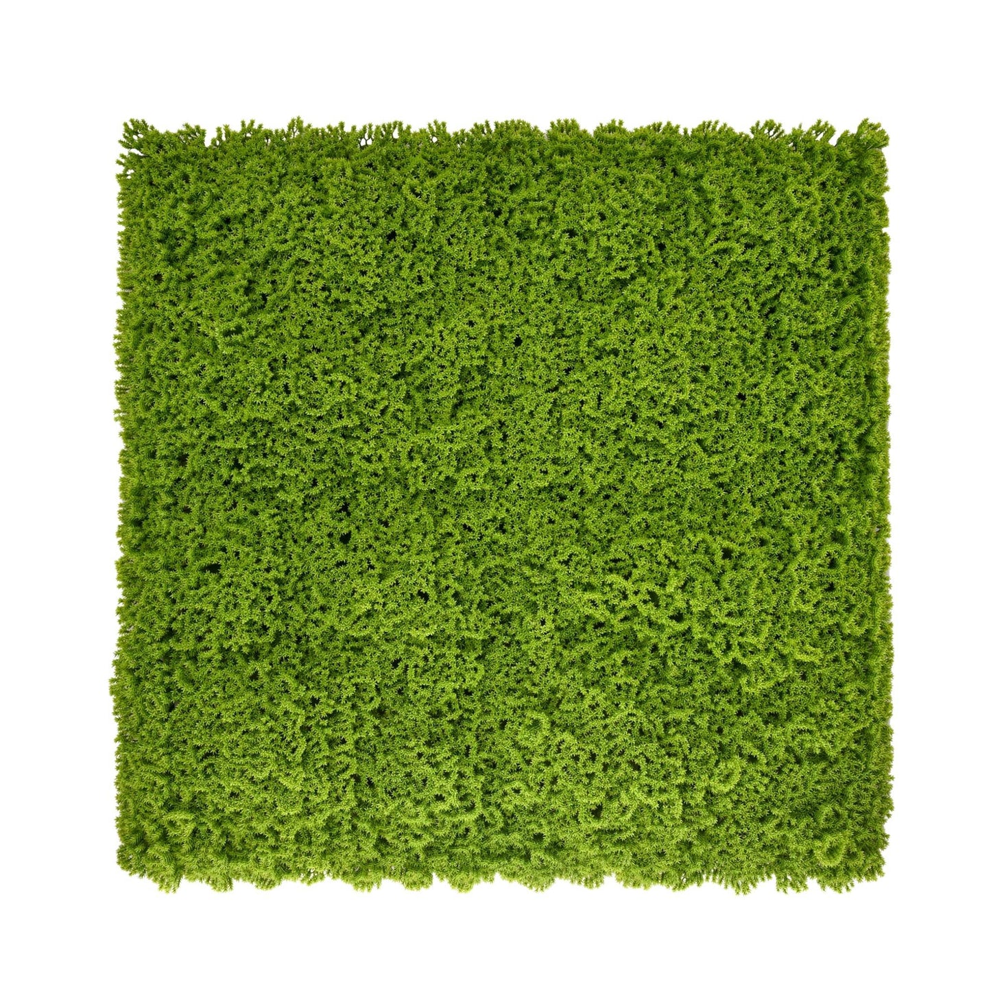 Lime Green Artificial Moss Living Wall Panel - 100x100cm - Tuda Grass
