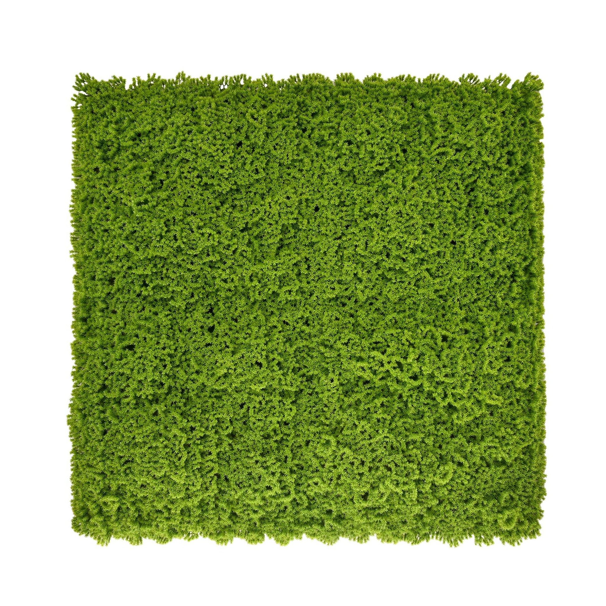 Lime Green Artificial Moss Living Wall Panel - 100x100cm - Tuda Grass