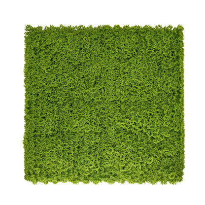 Lime Green Artificial Moss Living Wall Panel - 100x100cm - Tuda Grass