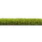 Limited Edition 1 - 35mm Artificial Grass Sample - Tuda Grass