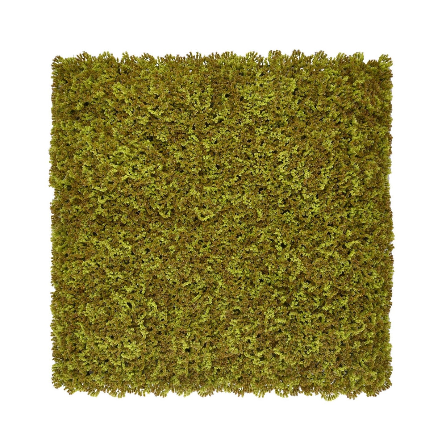 Moss/Olive Green Artificial Moss Living Wall Panel - 100x100cm - Tuda Grass