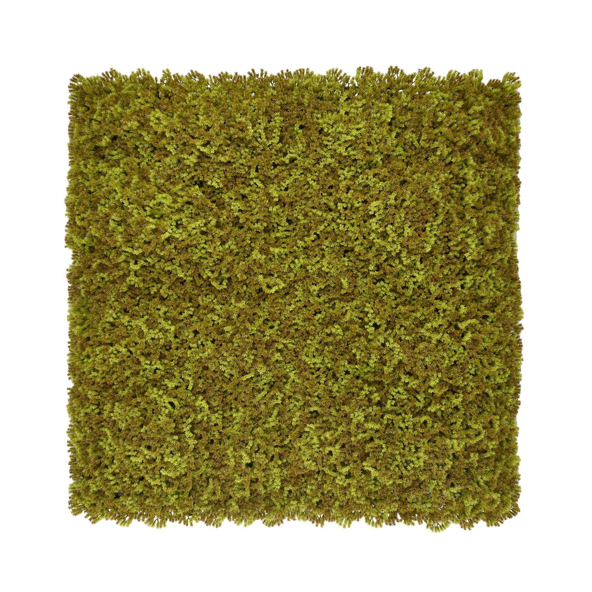 Moss/Olive Green Artificial Moss Living Wall Panel - 100x100cm - Tuda Grass