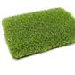 Tuda Pet 50mm Artificial Grass Sample - Tuda Grass