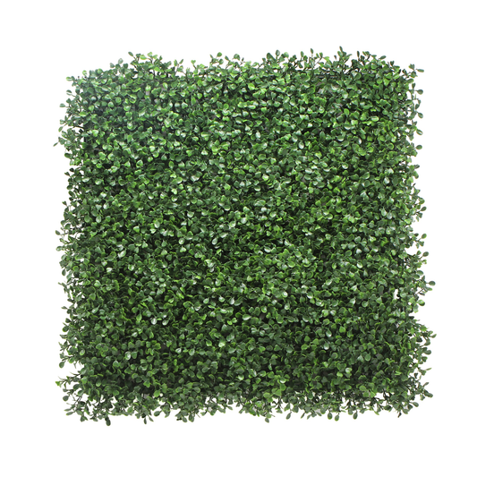 Boxwood Hedge - Artificial Green Wall