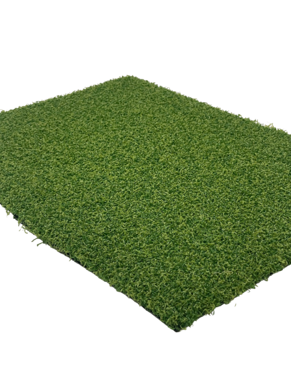 Pro Putt Artificial Grass Sample