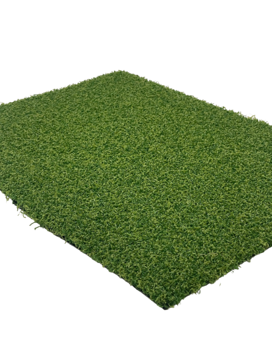 Pro Putt Artificial Grass Sample